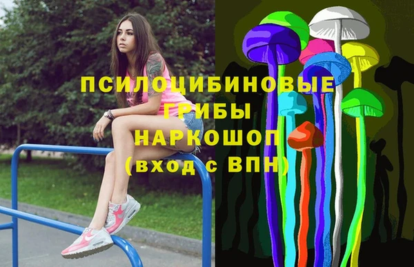 mdpv Белокуриха